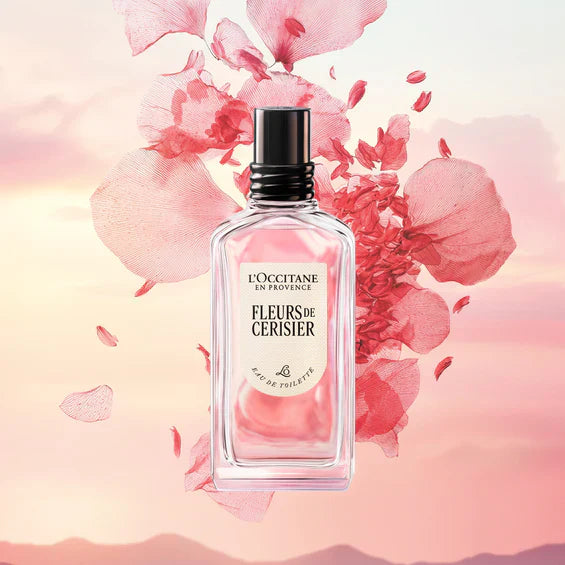Fleurs de Cerisier