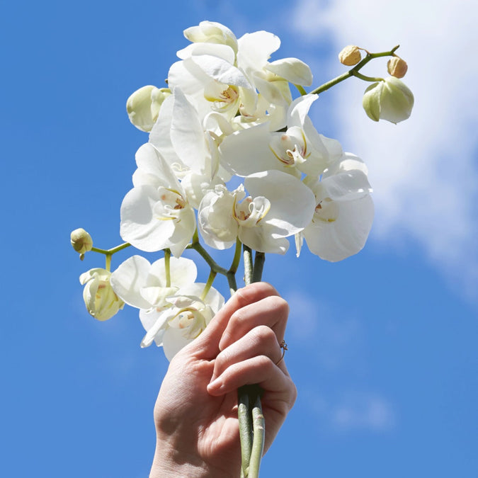 Gel de Ducha Neroli & Orquídea