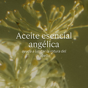 Aceite Infusionado Reparador Intensivo 100ml