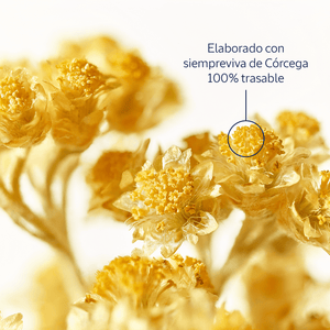 Crema antiedad hidratante Immortelle Divina 