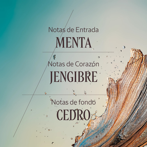 Eau de Toilette Cèdre Gingembre