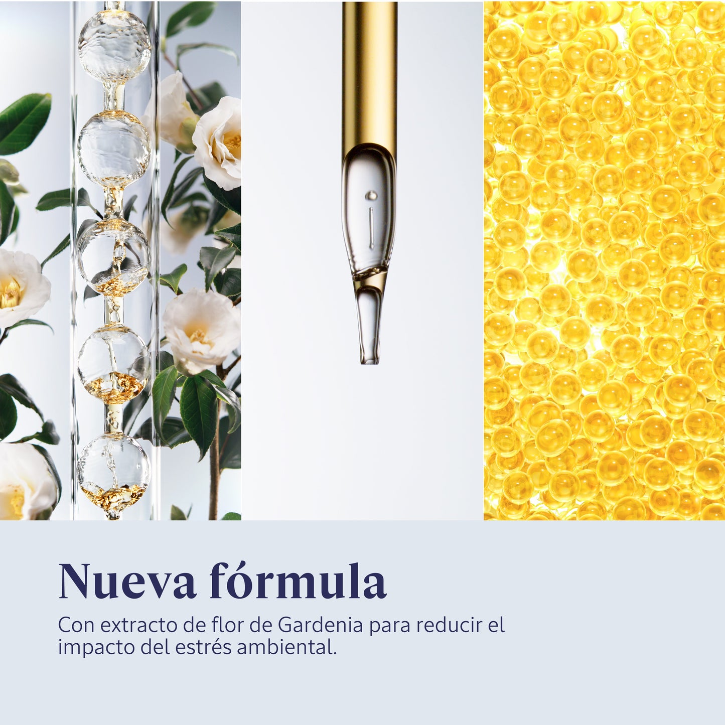 Sérum Facial Immortelle Reset 50ml