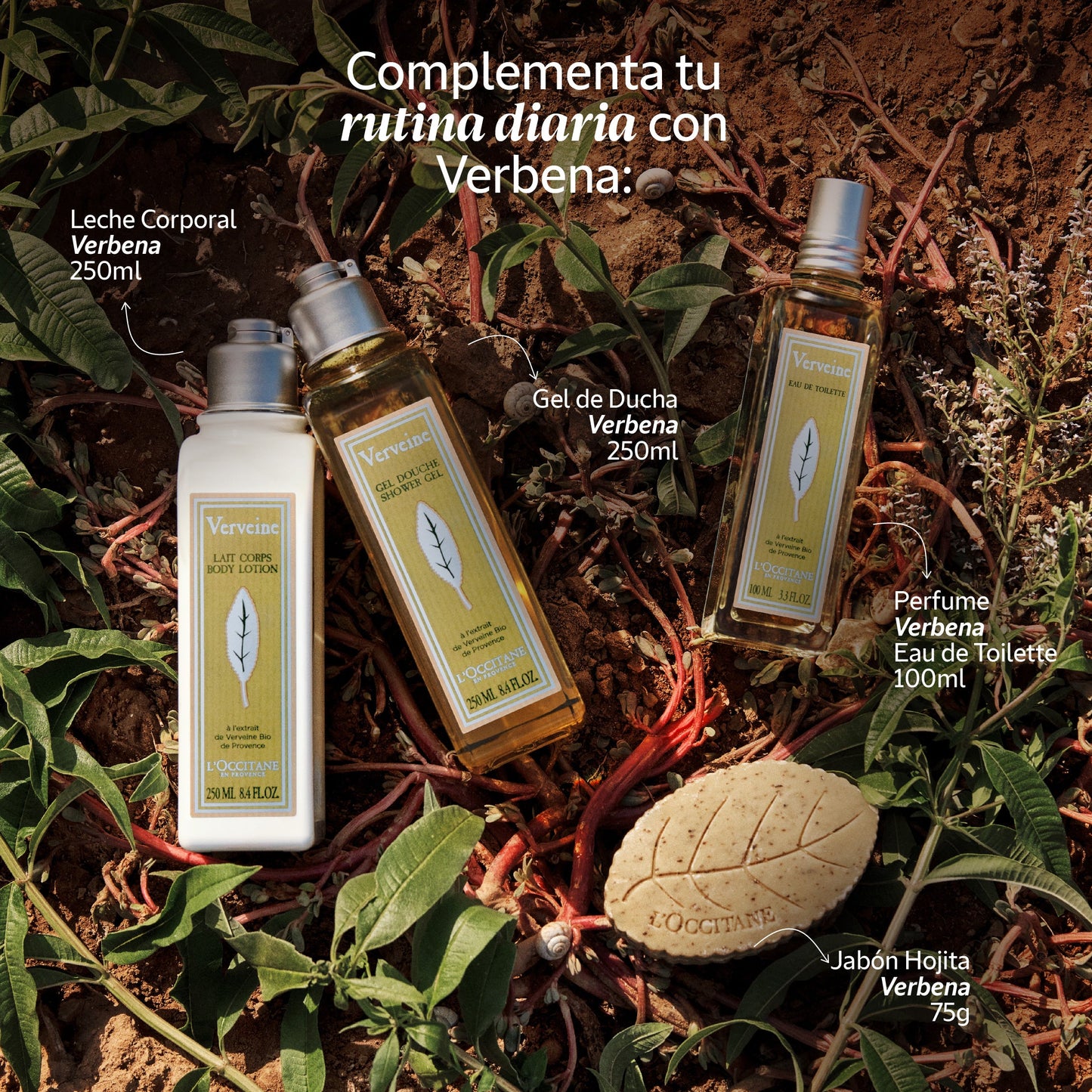 Gel de ducha Verbena 250ml