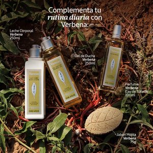 Leche corporal Verbena 250ml