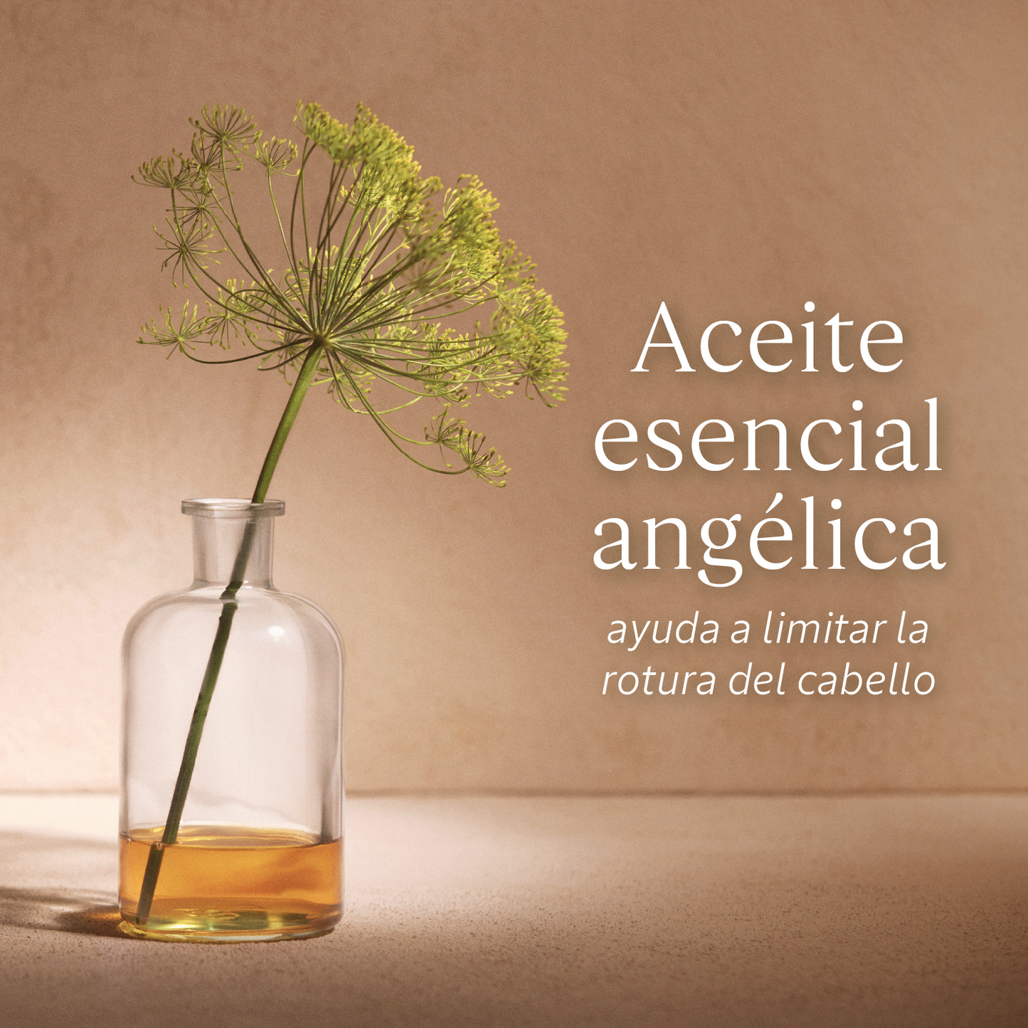 Shampoo Reparador Intensivo 75ml