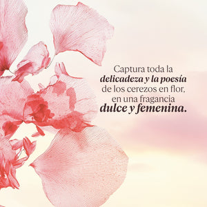 Crema para Manos Fleurs de Cerisier (Antes Flor de Cerezo) 150ml