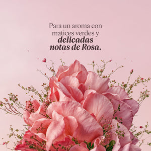 Perfume Rose (Antes Rosa) Eau de Toilette 50ml