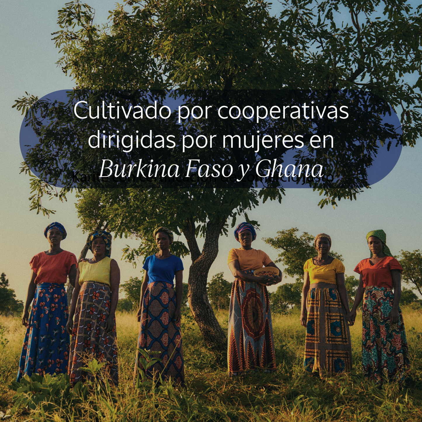 Crema para manos Karité 30ml