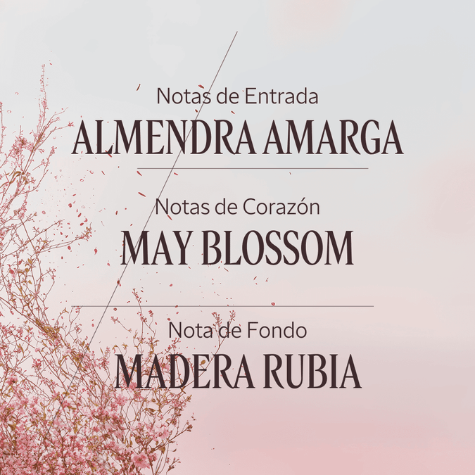 Noble Epine gel de ducha Normal BLOC40395 