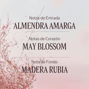 Noble Epine gel de ducha Normal BLOC40395 