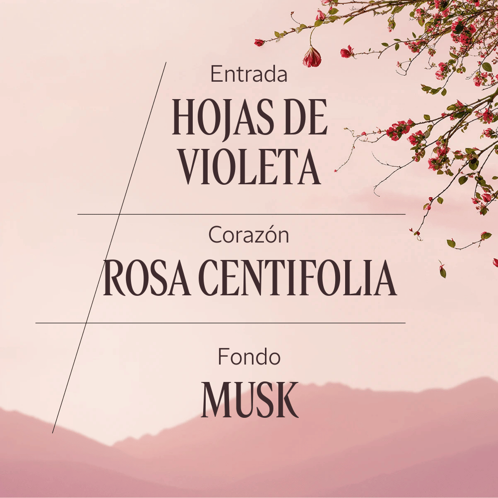 Perfume Rose (Antes Rosa) Eau de Toilette 50ml