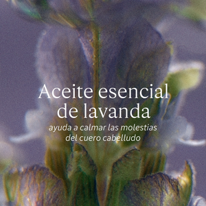 Eco Refill Shampoo Equilibrio y Suavidad 500ml