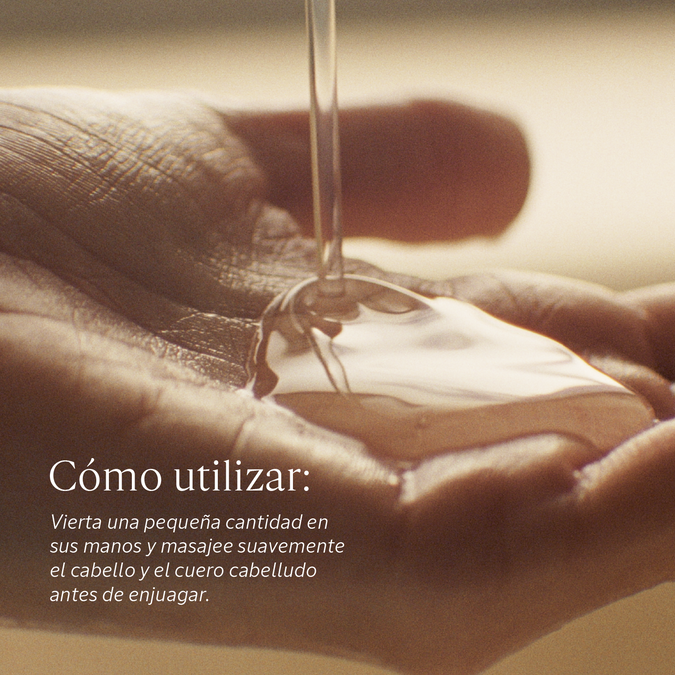 Eco Refill Shampoo Equilibrio y Suavidad 500ml