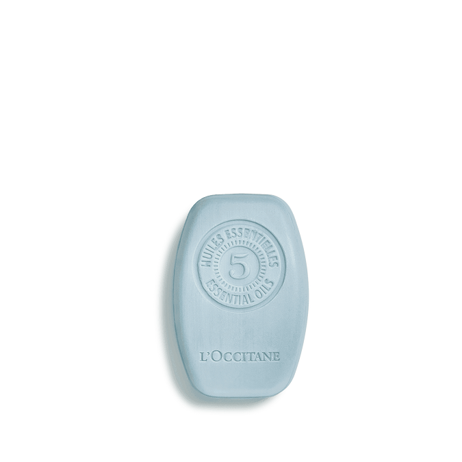 Shampoo Sólido Purificante