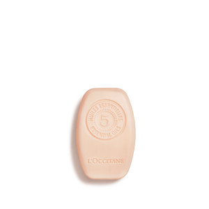 Comprar Champú Sólido Reparador en Honduras - Precio y Beneficios para Cabello Dañado