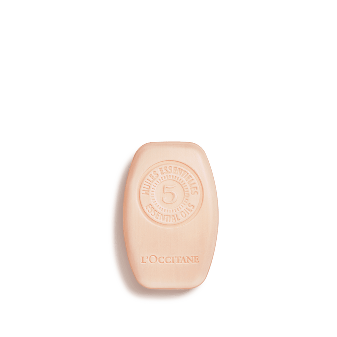 Comprar Champú Sólido Reparador en Honduras - Precio y Beneficios para Cabello Dañado